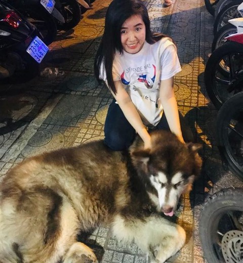 Rọ mõm cho chó tại nước ngoài: Người nói có, người nói không - Ảnh 3. Rọ mõm cho chó tại nước ngoài: Người nói có, người nói không - Ảnh 3.