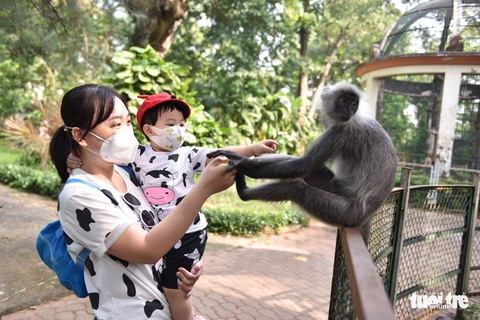 Ngày đầu Thảo cầm viên mở cửa trở lại, người dân ‘rần rần’ tới ủng hộ - Ảnh 5. Ngày đầu Thảo cầm viên mở cửa trở lại, người dân ‘rần rần’ tới ủng hộ - Ảnh 5.