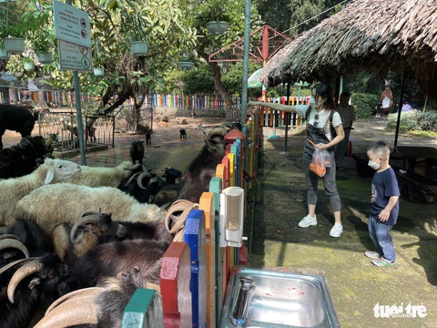 Ngày đầu Thảo cầm viên mở cửa trở lại, người dân ‘rần rần’ tới ủng hộ - Ảnh 6. Ngày đầu Thảo cầm viên mở cửa trở lại, người dân ‘rần rần’ tới ủng hộ - Ảnh 6.