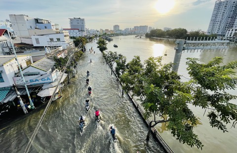 TP.HCM giải thể Văn phòng biến đổi khí hậu - Ảnh 1. TP.HCM giải thể Văn phòng biến đổi khí hậu - Ảnh 1.
