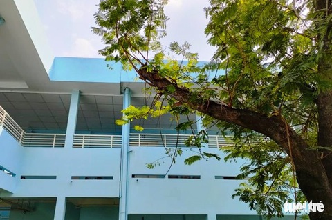 Người chồng nuôi vợ tại bệnh viện chích điện giết vợ rồi tự tử bất thành - Ảnh 2. Người chồng nuôi vợ tại bệnh viện chích điện giết vợ rồi tự tử bất thành - Ảnh 2.