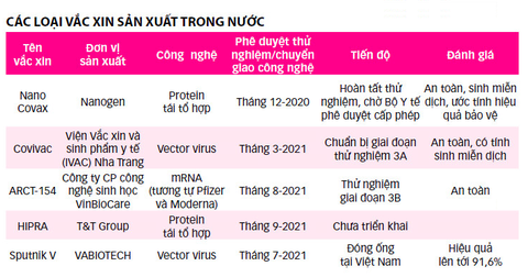 Cơ hội nào cho vắc xin Việt? - Ảnh 4. Cơ hội nào cho vắc xin Việt? - Ảnh 4.
