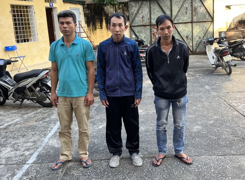 Người bán lan đột biến bị người mua đe dọa, cưỡng đoạt tiền - Ảnh 1. Người bán lan đột biến bị người mua đe dọa, cưỡng đoạt tiền - Ảnh 1.