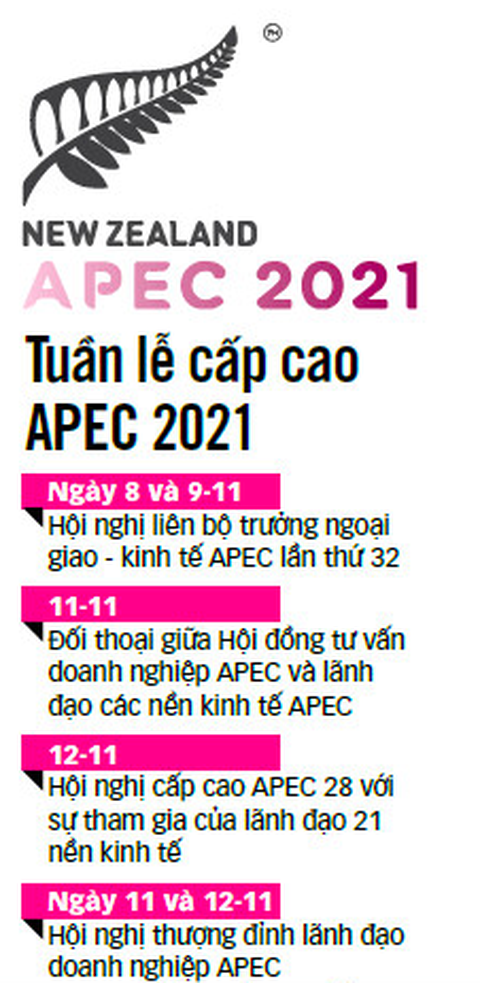 Khai mạc APEC 2021: Hồi sinh các mao mạch nền kinh tế - Ảnh 2. Khai mạc APEC 2021: Hồi sinh các mao mạch nền kinh tế - Ảnh 2.