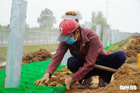 Cao tốc Trung Lương - Mỹ Thuận chạy nước rút để thông xe dịp Tết Nguyên đán 2022 - Ảnh 7. Cao tốc Trung Lương - Mỹ Thuận chạy nước rút để thông xe dịp Tết Nguyên đán 2022 - Ảnh 7.