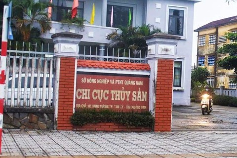 Cách chức chi cục trưởng chi cục thủy sản Quảng Nam - Ảnh 1. Cách chức chi cục trưởng chi cục thủy sản Quảng Nam - Ảnh 1.
