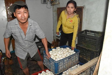 Phú Yên nước rút dần, người dân chưa hết bàng hoàng - Ảnh 1. Phú Yên nước rút dần, người dân chưa hết bàng hoàng - Ảnh 1.