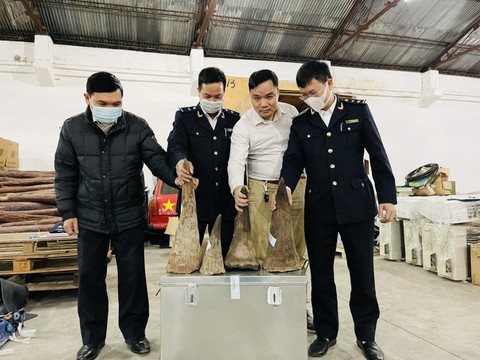 Phát hiện gần 20kg sừng tê giác tại cảng Hải Phòng, giá thị trường hàng chục tỉ đồng - Ảnh 1. Phát hiện gần 20kg sừng tê giác tại cảng Hải Phòng, giá thị trường hàng chục tỉ đồng - Ảnh 1.