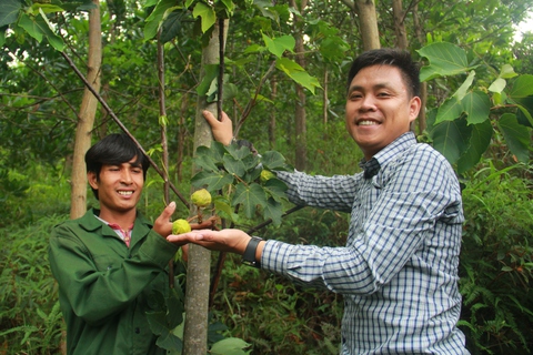 Kỳ bí núi thiêng Sa Mù - Kỳ 4: Phục sinh đất chết - Ảnh 1. Kỳ bí núi thiêng Sa Mù - Kỳ 4: Phục sinh đất chết - Ảnh 1.