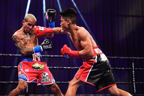 Nội chiến boxing Philippines - Ảnh 4. Nội chiến boxing Philippines - Ảnh 4.