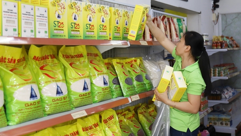 Đấu trường gạo ngon nhất thế giới chờ ST25 - Ảnh 1. Đấu trường gạo ngon nhất thế giới chờ ST25 - Ảnh 1.