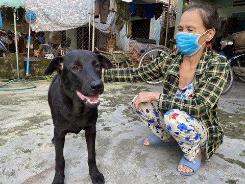 Nói không với tiêu thụ thịt chó mèo: Biến Hội An là thành phố du lịch thân thiện - Ảnh 1. Nói không với tiêu thụ thịt chó mèo: Biến Hội An là thành phố du lịch thân thiện - Ảnh 1.