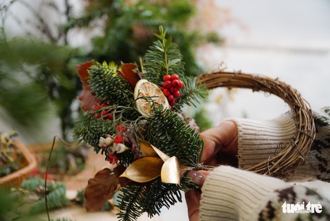 Vòng nguyệt quế, thông Noel giá chát bạn trẻ vẫn mua vì tươi mới, thân thiện môi trường - Ảnh 5. Vòng nguyệt quế, thông Noel giá chát bạn trẻ vẫn mua vì tươi mới, thân thiện môi trường - Ảnh 5.