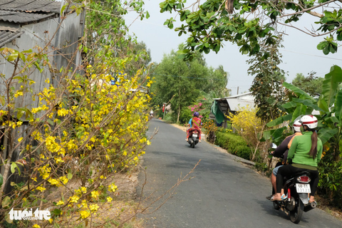 Dịch không thể giết chết được một mùa xuân - Ảnh 1. Dịch không thể giết chết được một mùa xuân - Ảnh 1.
