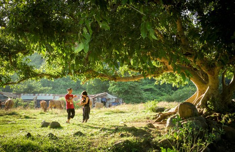 Món quà lớn nhất là gặp lại nhau - Ảnh 3. Món quà lớn nhất là gặp lại nhau - Ảnh 3.