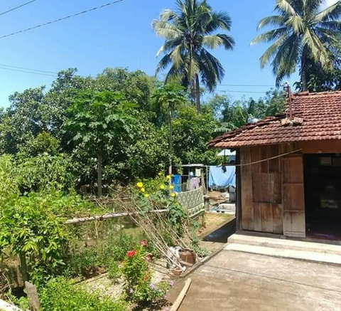 Liệu rằng ngoại có còn khỏe để chờ đợi được cái Tết năm sau? - Ảnh 2. Liệu rằng ngoại có còn khỏe để chờ đợi được cái Tết năm sau? - Ảnh 2.