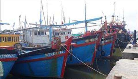 bao ninh thuan bao ninh thuan