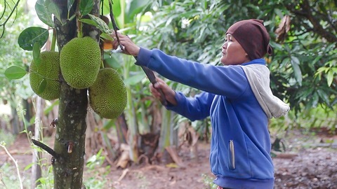 Khát khao thoát nghèo, làm giàu con chữ trên mảnh đất cằn Buôn Đôn - Ảnh 2. Khát khao thoát nghèo, làm giàu con chữ trên mảnh đất cằn Buôn Đôn - Ảnh 2.