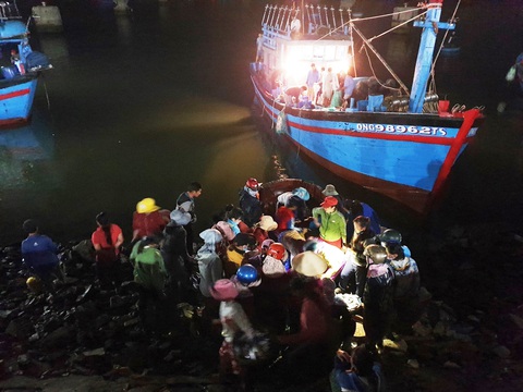 Mỹ Á - cửa ngõ tiến ra đại dương - Kỳ 3: Người Mỹ Á làm nhà cho cá ở giữa biển - Ảnh 2. Mỹ Á - cửa ngõ tiến ra đại dương - Kỳ 3: Người Mỹ Á làm nhà cho cá ở giữa biển - Ảnh 2.