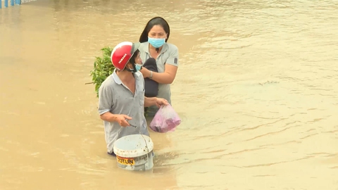 13 người chết và mất tích tại Phú Yên, Bình Định; đường sá thiệt hại nặng nề do mưa lũ - Ảnh 3. 13 người chết và mất tích tại Phú Yên, Bình Định; đường sá thiệt hại nặng nề do mưa lũ - Ảnh 3.