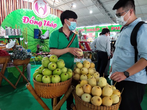 Người dân TP.HCM đi săn nấm Sa Pa, chả cá Phú Yên, xoài Đồng Tháp... - Ảnh 2. Người dân TP.HCM đi săn nấm Sa Pa, chả cá Phú Yên, xoài Đồng Tháp... - Ảnh 2.