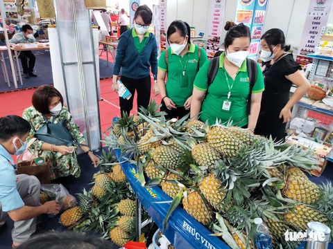 Người dân TP.HCM đi săn nấm Sa Pa, chả cá Phú Yên, xoài Đồng Tháp... - Ảnh 1. Người dân TP.HCM đi săn nấm Sa Pa, chả cá Phú Yên, xoài Đồng Tháp... - Ảnh 1.