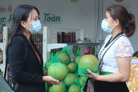 Sơn La tổ chức tuần lễ nông sản tại Hà Nội - Ảnh 1. Sơn La tổ chức tuần lễ nông sản tại Hà Nội - Ảnh 1.