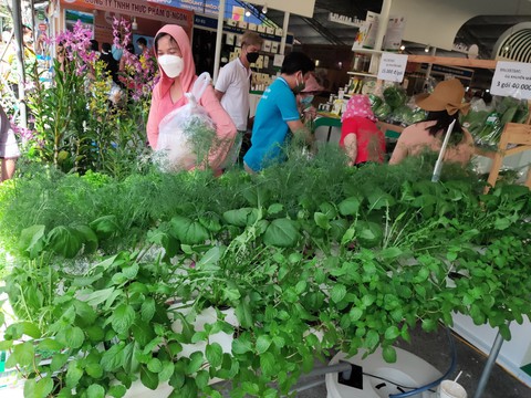 Người dân TP.HCM đi tìm đặc sản Tết, hàng tiêu dùng giảm giá ở hội chợ - Ảnh 10. Người dân TP.HCM đi tìm đặc sản Tết, hàng tiêu dùng giảm giá ở hội chợ - Ảnh 10.