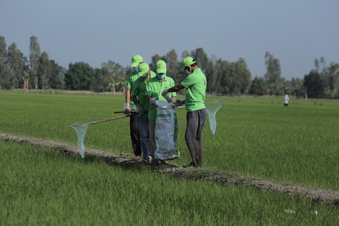 Syngenta Việt Nam phối hợp phát động bảo vệ môi trường - Ảnh 2. Syngenta Việt Nam phối hợp phát động bảo vệ môi trường - Ảnh 2.