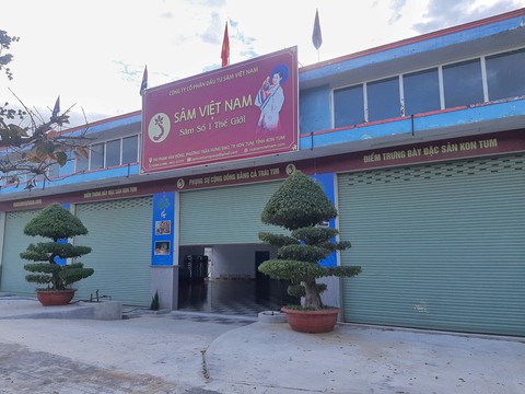 Quảng cáo có vườn sâm Ngọc Linh 10ha nhưng không chứng minh được? - Ảnh 3. Quảng cáo có vườn sâm Ngọc Linh 10ha nhưng không chứng minh được? - Ảnh 3.