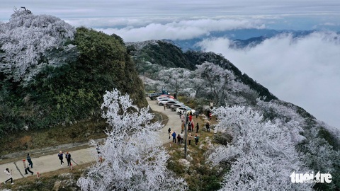 Dịp cuối năm, Fansipan, Mẫu Sơn có thể có mưa tuyết và băng giá - Ảnh 1. Dịp cuối năm, Fansipan, Mẫu Sơn có thể có mưa tuyết và băng giá - Ảnh 1.