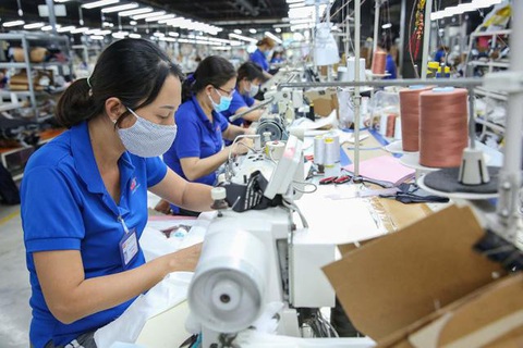 1.4 triệu việc làm phổ thông được giới thiệu qua những chiếc xe bánh mì - Ảnh 2. 1.4 triệu việc làm phổ thông được giới thiệu qua những chiếc xe bánh mì - Ảnh 2.