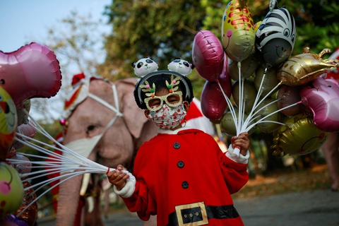 Voi làm ông già Noel, phát quà Giáng sinh cho trẻ em ở Thái Lan - Ảnh 3. Voi làm ông già Noel, phát quà Giáng sinh cho trẻ em ở Thái Lan - Ảnh 3.