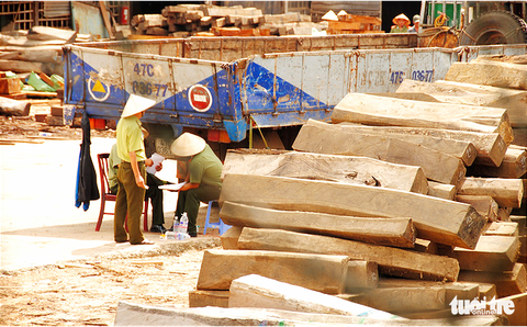 Vụ ‘tráo gỗ tang vật’ ở Đắk Lắk: Chưa xử lý lãnh đạo cục vì đang bị bệnh - Ảnh 2. Vụ ‘tráo gỗ tang vật’ ở Đắk Lắk: Chưa xử lý lãnh đạo cục vì đang bị bệnh - Ảnh 2.
