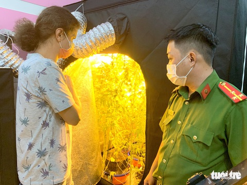 Thanh niên Nga trồng, chế biến cần sa trong nhà thuê ở Phan Thiết - Ảnh 1. Thanh niên Nga trồng, chế biến cần sa trong nhà thuê ở Phan Thiết - Ảnh 1.