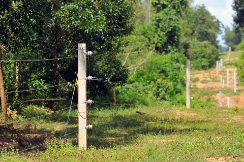 Đồng Nai xây dựng bổ sung 25km hàng rào điện bảo vệ voi rừng - Ảnh 2. Đồng Nai xây dựng bổ sung 25km hàng rào điện bảo vệ voi rừng - Ảnh 2.