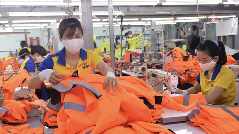 Thủy sản và giấc mộng lớn 9 tỉ USD - Ảnh 10. Thủy sản và giấc mộng lớn 9 tỉ USD - Ảnh 10.