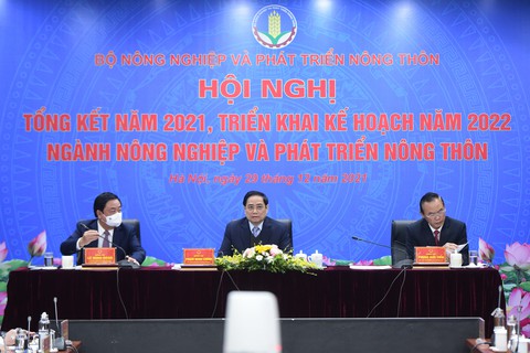 Vượt bão COVID-19, xuất khẩu nông sản đạt kỷ lục 48,6 tỉ USD - Ảnh 1. Vượt bão COVID-19, xuất khẩu nông sản đạt kỷ lục 48,6 tỉ USD - Ảnh 1.