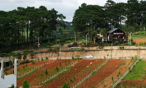 Không thể tưởng tượng: Cả một đô thị nghỉ dưỡng... lậu giữa rừng - Ảnh 4. Không thể tưởng tượng: Cả một đô thị nghỉ dưỡng... lậu giữa rừng - Ảnh 4.