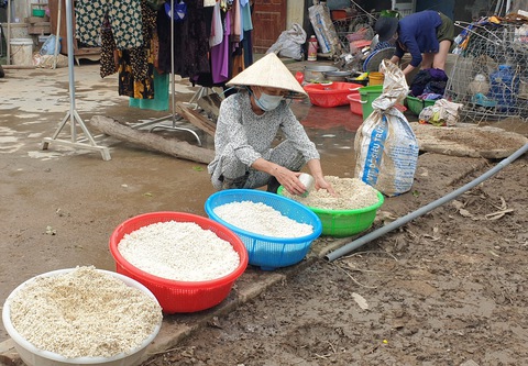 Giúp đồng bào gượng dậy sau lũ - Ảnh 1. Giúp đồng bào gượng dậy sau lũ - Ảnh 1.