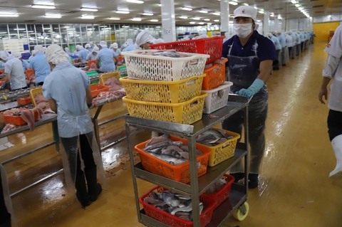 Thủy sản tăng tốc xuất khẩu cuối năm - Ảnh 2. Thủy sản tăng tốc xuất khẩu cuối năm - Ảnh 2.