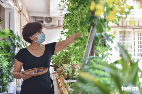 Chung cư gần 70 năm tuổi ở Sài Gòn vẫn xanh sạch, vì sao? - Ảnh 5. Chung cư gần 70 năm tuổi ở Sài Gòn vẫn xanh sạch, vì sao? - Ảnh 5.