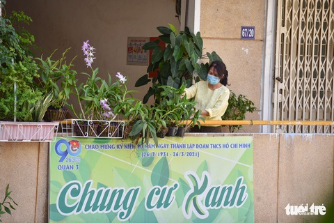 Chung cư gần 70 năm tuổi ở Sài Gòn vẫn xanh sạch, vì sao? - Ảnh 1. Chung cư gần 70 năm tuổi ở Sài Gòn vẫn xanh sạch, vì sao? - Ảnh 1.