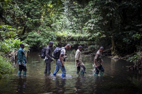 Thợ săn virus - Những người săn lùng hiểm họa - Kỳ 2: Dơi, máu và virus ở rừng Cameroon - Ảnh 1. Thợ săn virus - Những người săn lùng hiểm họa - Kỳ 2: Dơi, máu và virus ở rừng Cameroon - Ảnh 1.