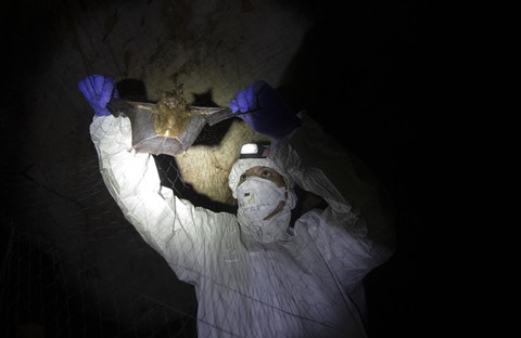 Thợ săn virus - Những người săn lùng hiểm họa - Kỳ 3: Thợ săn virus lão làng và 5 xác khỉ chứa virus - Ảnh 2. Thợ săn virus - Những người săn lùng hiểm họa - Kỳ 3: Thợ săn virus lão làng và 5 xác khỉ chứa virus - Ảnh 2.