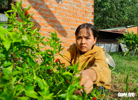 Ngày học xen ngày mót củi của cô gái nhỏ - Ảnh 2. Ngày học xen ngày mót củi của cô gái nhỏ - Ảnh 2.