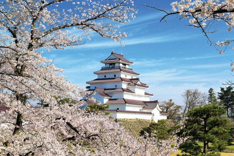 Vẻ đẹp bốn mùa của lâu đài Tsuruga, Fukushima - Ảnh 2. Vẻ đẹp bốn mùa của lâu đài Tsuruga, Fukushima - Ảnh 2.
