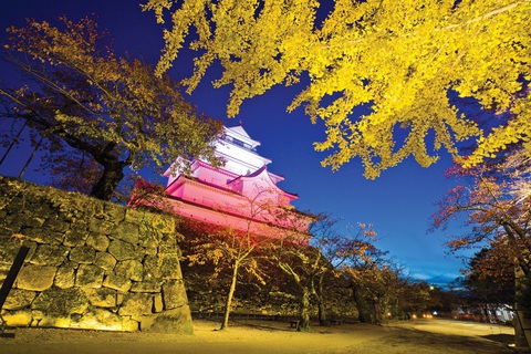 Vẻ đẹp bốn mùa của lâu đài Tsuruga, Fukushima - Ảnh 4. Vẻ đẹp bốn mùa của lâu đài Tsuruga, Fukushima - Ảnh 4.