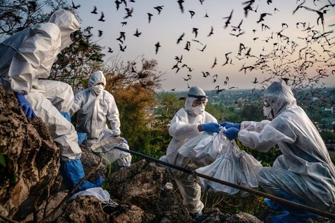 Thợ săn virus - Những người săn lùng hiểm họa - Kỳ cuối: Cuộc chiến trường kỳ với tử thần giấu mặt - Ảnh 1. Thợ săn virus - Những người săn lùng hiểm họa - Kỳ cuối: Cuộc chiến trường kỳ với tử thần giấu mặt - Ảnh 1.