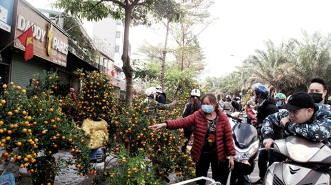 Hà Nội ngày 30 Tết: Đào, quất bung nở nhưng ít người mua, hoa tươi bỏ thối cả đống - Ảnh 2. Hà Nội ngày 30 Tết: Đào, quất bung nở nhưng ít người mua, hoa tươi bỏ thối cả đống - Ảnh 2.